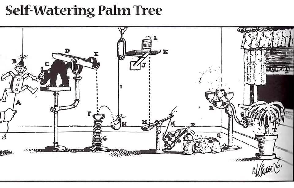 A complex Rube Goldberg machine designed to water a potted palm tree.